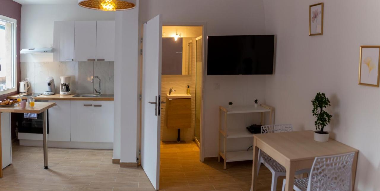 Loc Trotteur Le Pivoine Studio Grand Confort, Gare Sncf De Lourdes Buitenkant foto